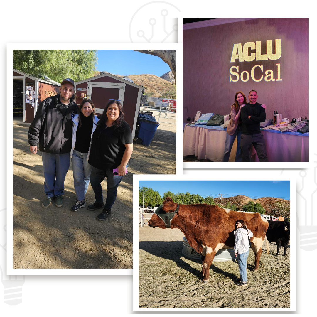 Three photos showing Lori Sochol of TVP NYC on a trip West. Lori is shown with Gentle Barn and ACLU.