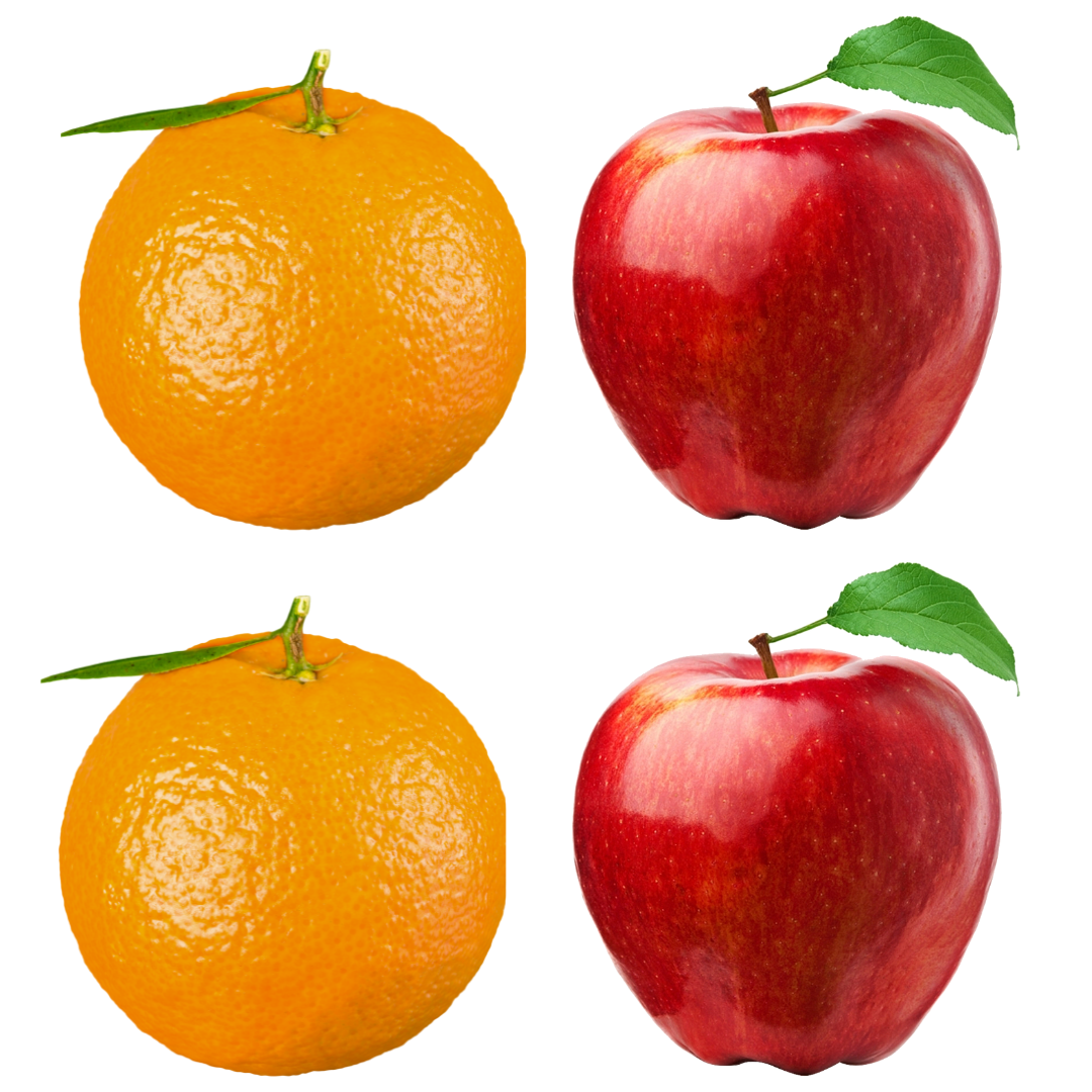 Understanding the Key Difference Between a Partner and a Vendor – Why Our Approach is Unique